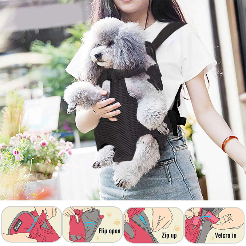 Pet fashion front backpack